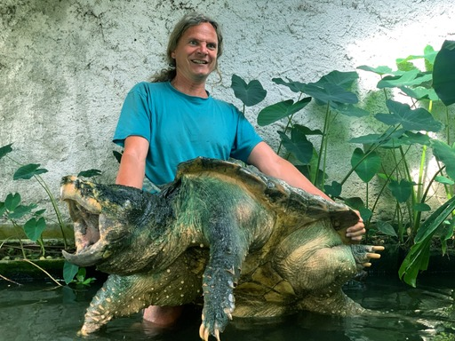 Turtle Island - Dr. Peter Praschag 