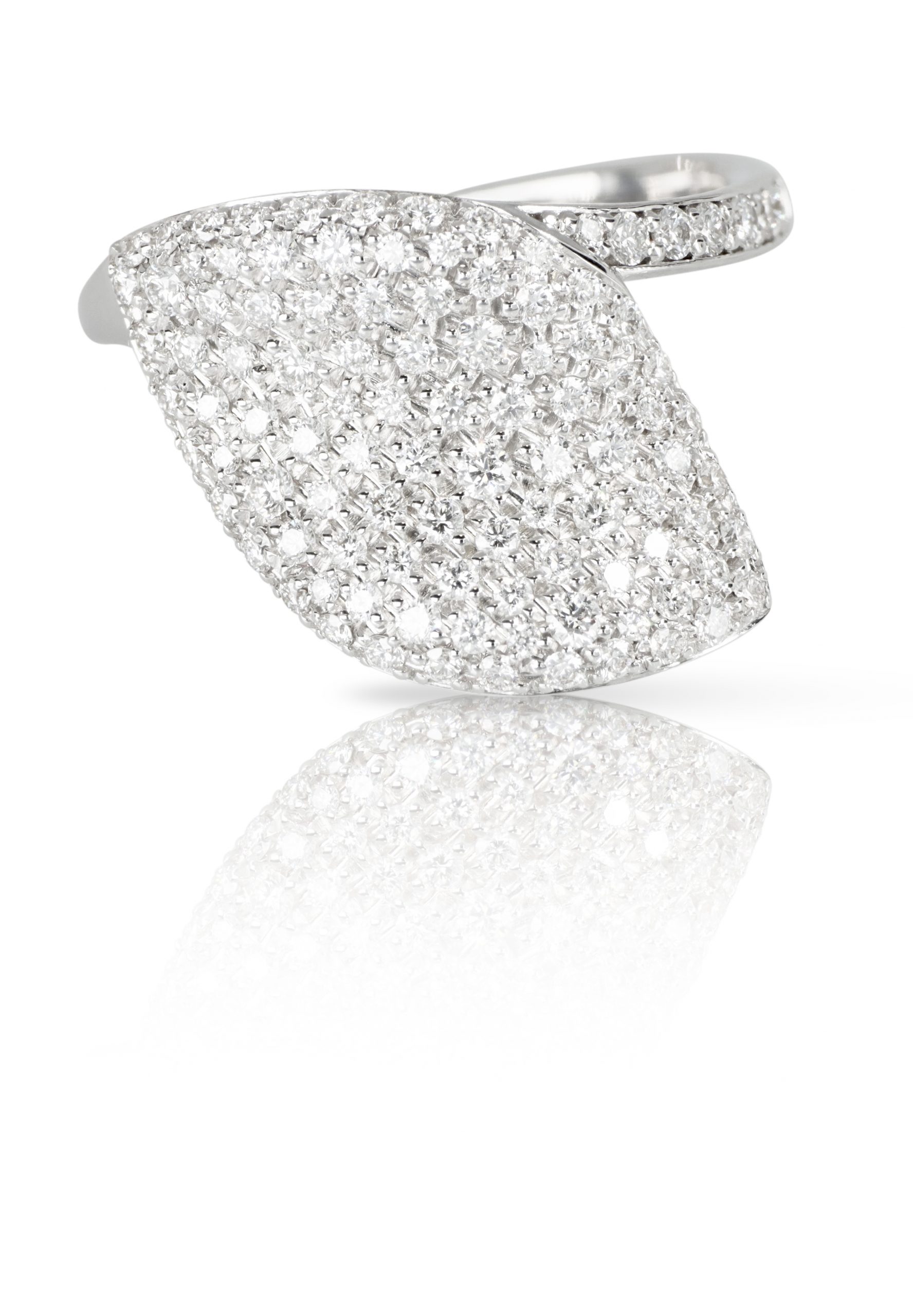 Pasquale Bruni's "Aleluia Collection"