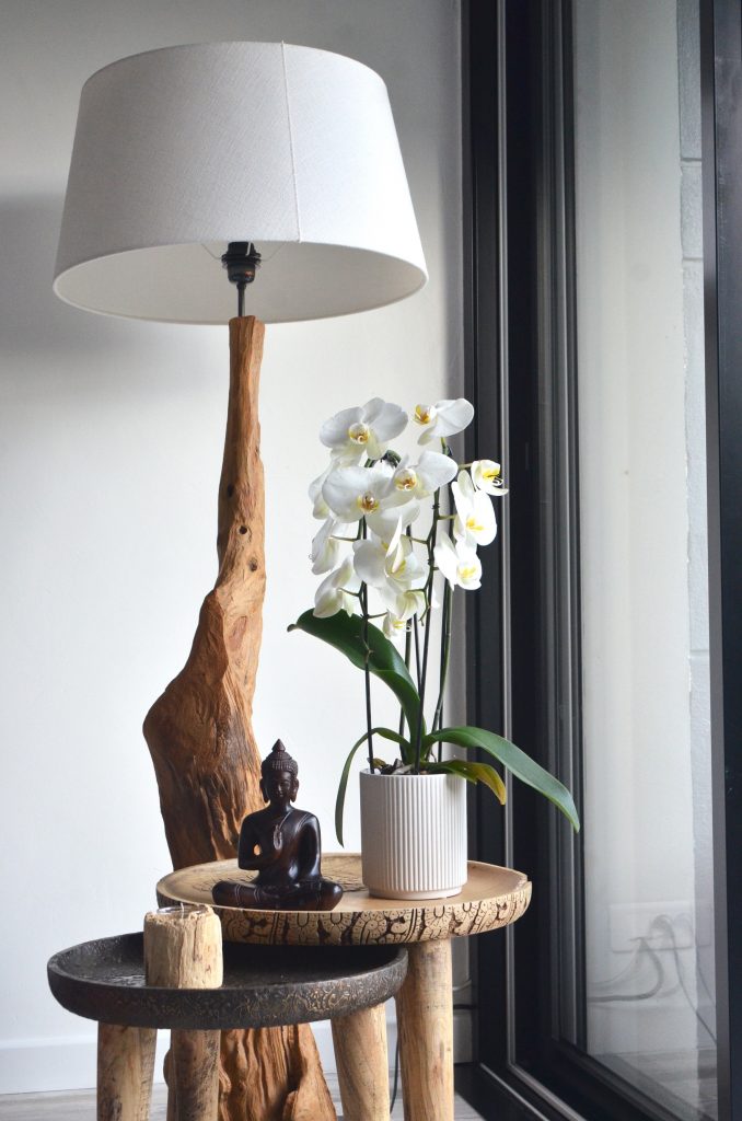 Statement lighting to elevate your home's ambiance