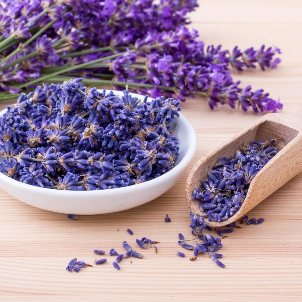 Lavender: Corporate Nail Polish Colour