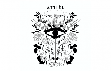 The serum ingredient booster from ATTIÈL