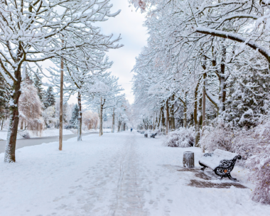 Winter Skin Barrier Health