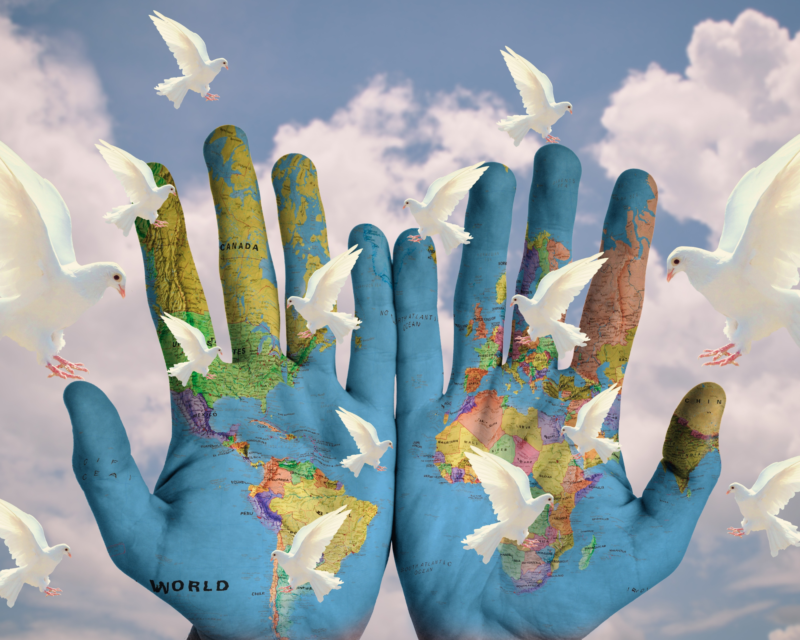 Visualization of the 2024's trend towards Earth-healing habits and practices