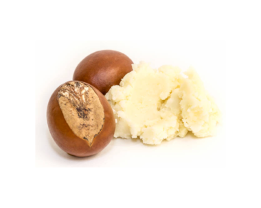 An article image explaining various reasons why Africans utilize Shea butter for a myriad of purposes such as moisturizing skin, healing wounds, and protecting hair.
