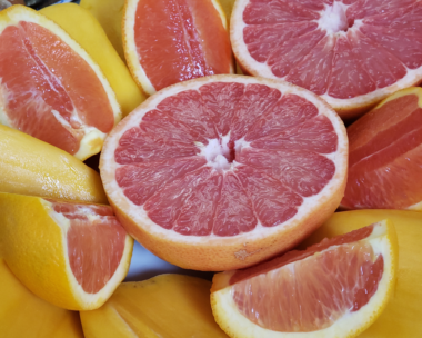 Fresh grapefruit segments, zesty grapefruit-infused meals, and refreshing grapefruit drinks featured in a collection of top recipes for National Grapefruit Month