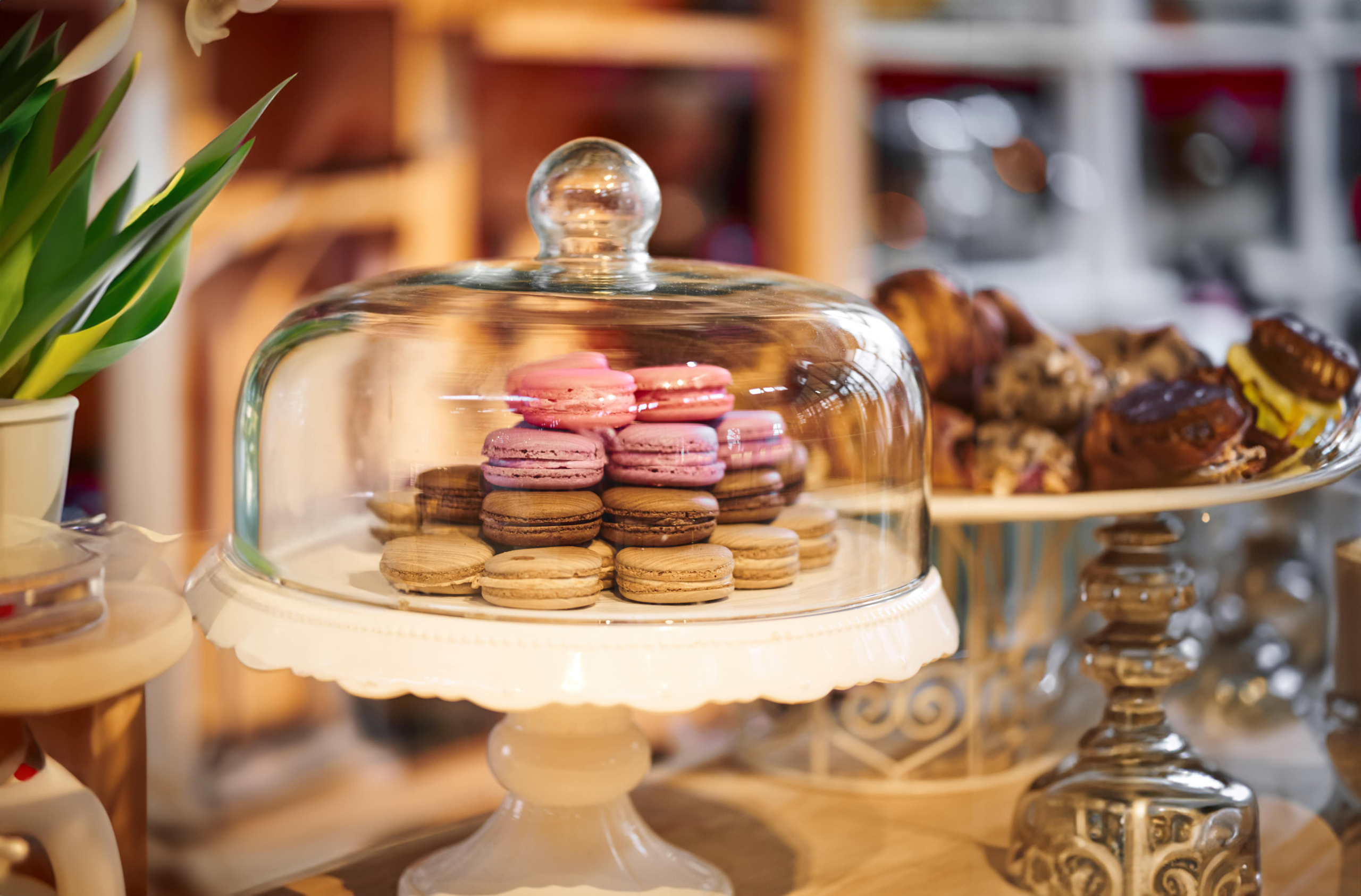 Gleis//Garten: Gastronomic Wonderland and Vienna's First Food Hall