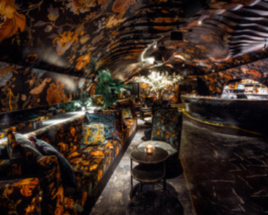 Revelers enjoying Vienna's Extravagant Nightlife at Sechser with vibrant lights illuminating the scene