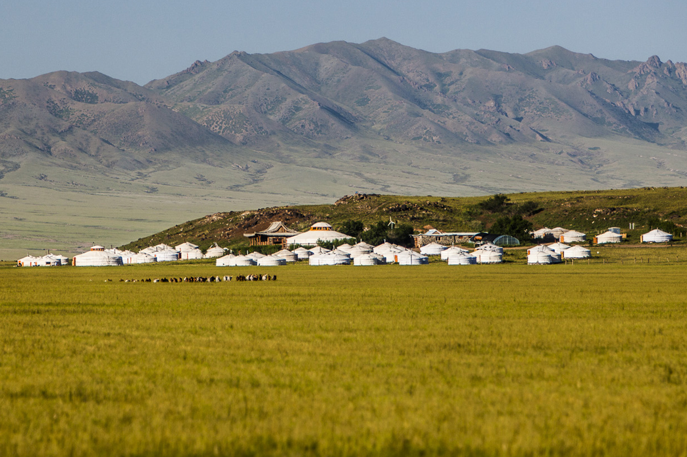 A trip to Three Camel Lodge, a Nomadic Oasis in the heart of the Gobi, Mongolia