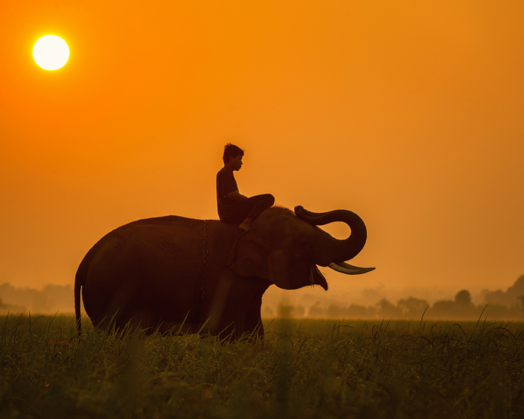 Summer in Thailand, You'll Love It
