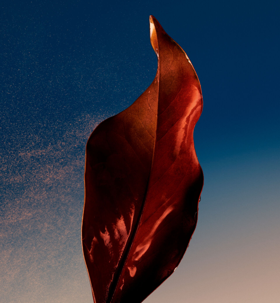 Dior Sauvage Eau de Parfum