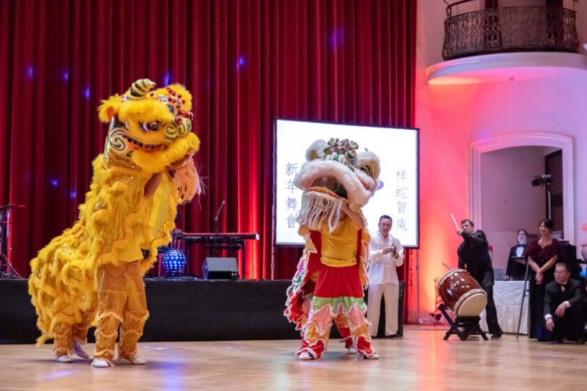 Chinese New Year Vienna 2026